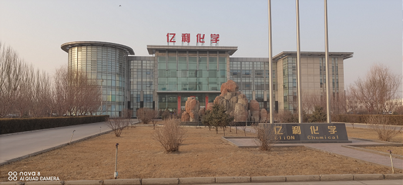 內(nèi)蒙古億利化學(xué)集團(tuán)（健康碼測(cè)溫考勤擺閘）(圖1)